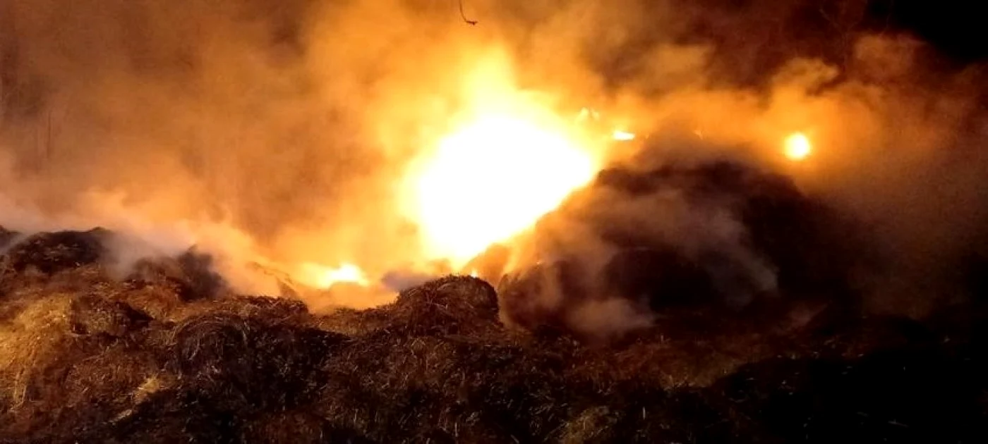 Incendiu provocat intenţionat în comuna Griviţa FOTO ISU Ialomiţa