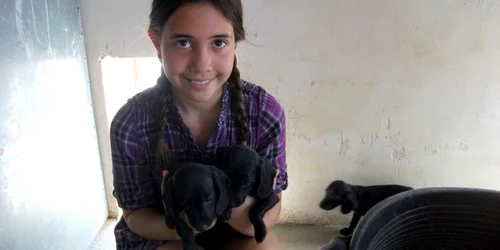 Micuţa care şi-a donat banii. FOTO: Redeşteptarea