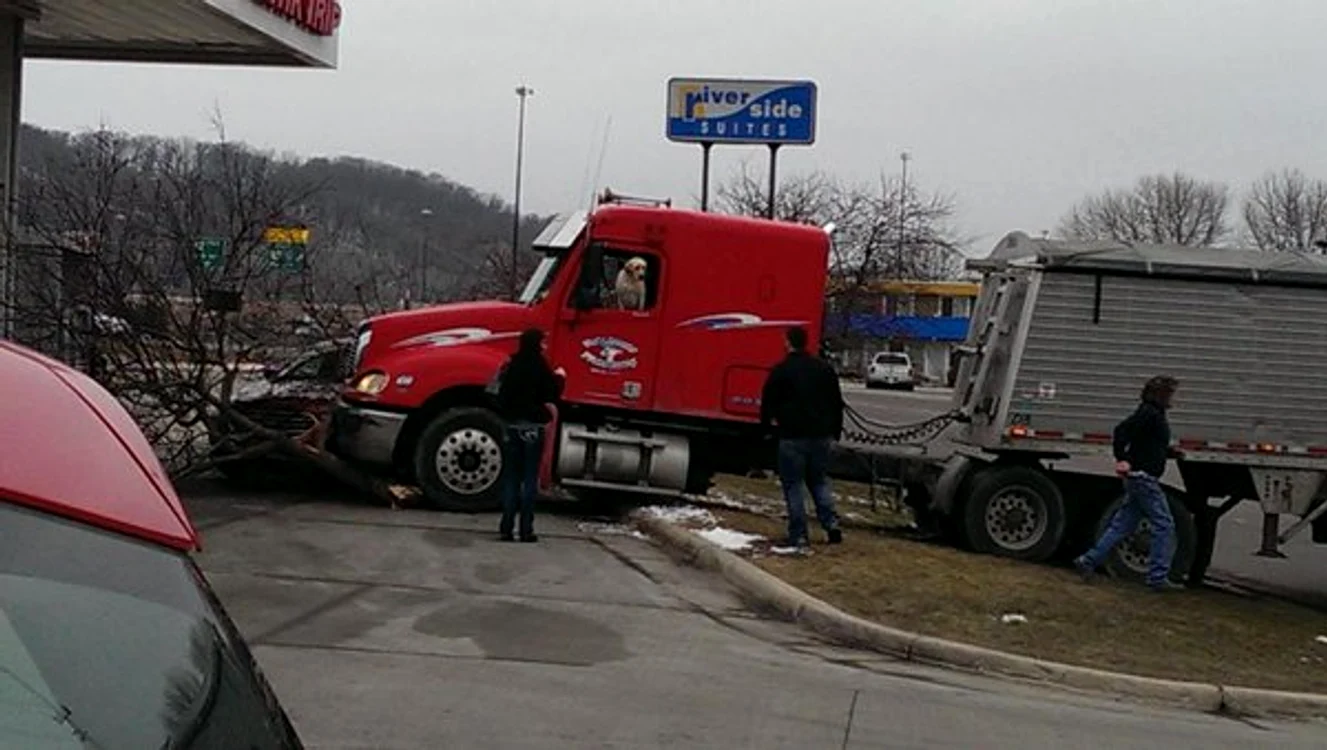 
    Au fost uimiți când au văzut cine conducea camionul care a făcut accidentFoto Metro.co.uk  