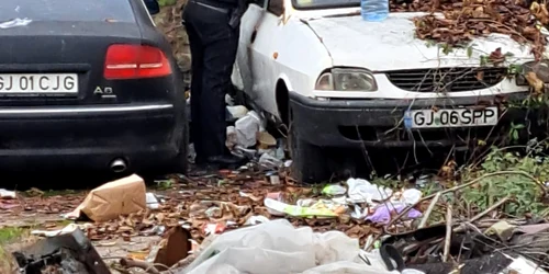 cadavru foto politia locala targu jiu jpeg
