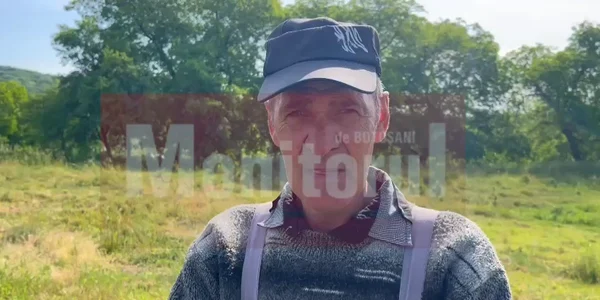 crima botosani mp4 thumbnail png