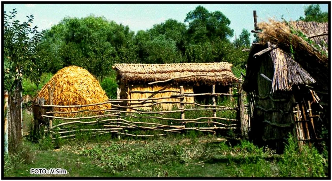 Farmecul Deltei 