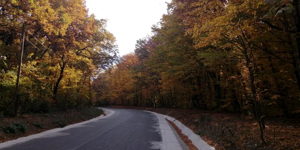 paduri 1
