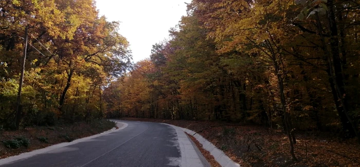 Pe drumurile nordului în judeţul Botoşani FOTO Cosmin Zamfirache