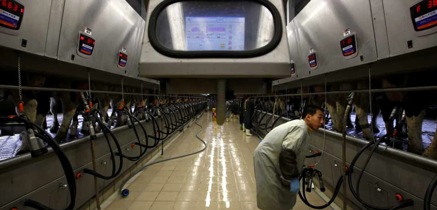 Compania neozeelandeză Fonterra are mai multe fabrici în China. FOTO: Reuters
