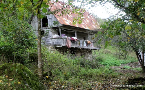 Satul Tomnatec Foto Daniel Guță ADEVĂRUL (7) jpg