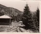 Căi ferate forestiere din Valea Jiului Anul 1956 Foto Richard Marschalko (12) jpg