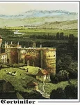 castelul corvinilor 1855 dupa incendiul din 1854 hunedoara 1855 jpg