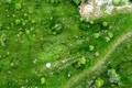 Cercuri misyterioase apărute lângă Cariera de marmură Alun  Foto Daniel Guță (2) JPG