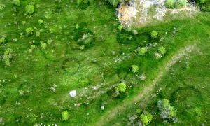 Cercuri misyterioase apărute lângă Cariera de marmură Alun  Foto Daniel Guță (2) JPG