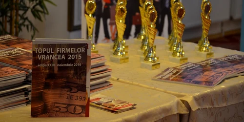 topul firmelor vrancea