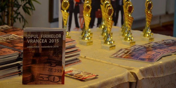 topul firmelor vrancea