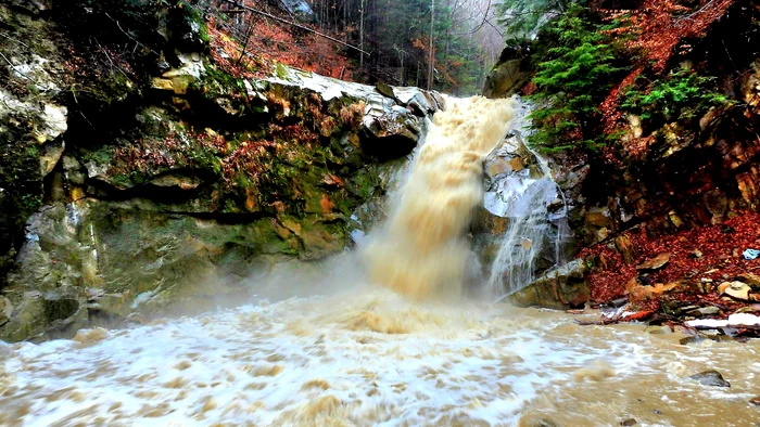 Cascada din Bisoca, umflată de ploi. SURSA Radu Iftinoiu