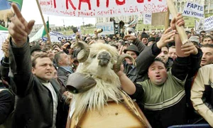 8 act protest oieri1 jpeg