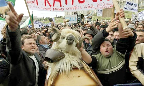 8 act protest oieri1 jpeg
