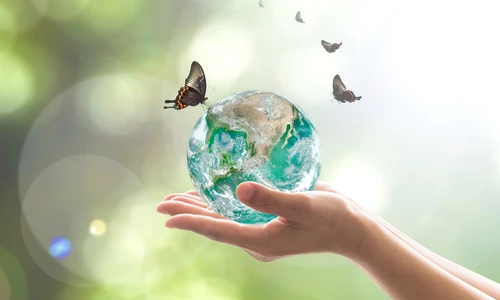 Sustenabilitatea acasă, la muncă și în concediu jpg