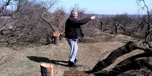 Livezi taiate de hoţi I.L. Caragiale