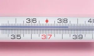 1 shutterstock 1711183099 jpg jpeg