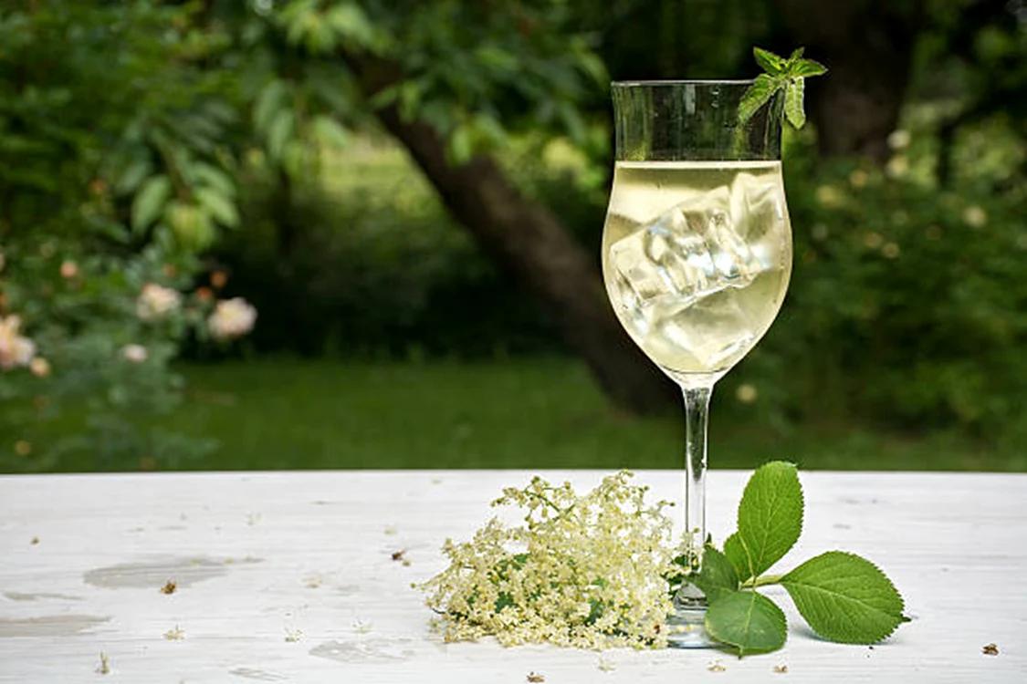 Șampania cu flori de soc poate fi făcută acasă / foto: IStock