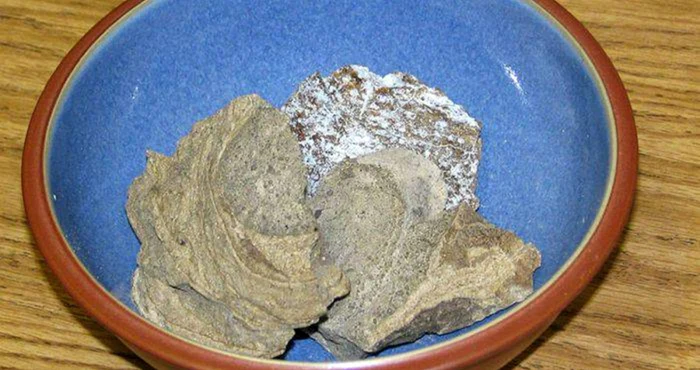 voma de balena ambergris jpg
