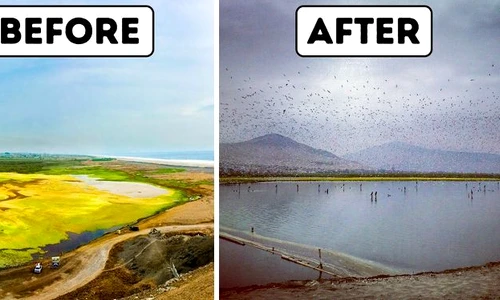 Soluţia pentru curăţarea lacurilor a fost găsită de un bărbat din Peru jpeg