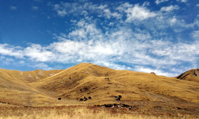 Provincia chineză Qinghai (© Pxfuel)