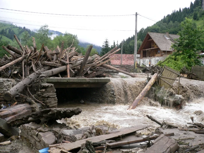 Apele pâraieloor din zona de munte a judeţului au făcut prăpăd FOTO: Adevărul arhiva