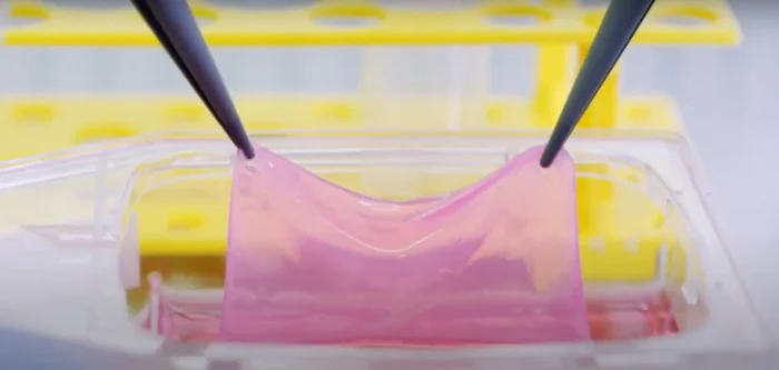 Produsul, care este supus în prezent testelor clinice, este deja utilizat la unii pacienţi. Foto: Captura video Wyss Zurich