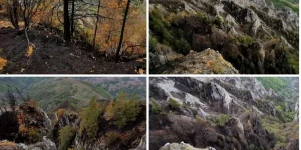 urmari incendiu scarita belioara