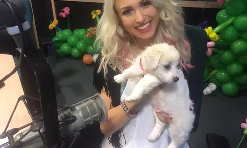 13319701 10154828291472646 4753642374459075954 n jpeg