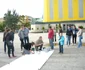 rosia montana tulcea