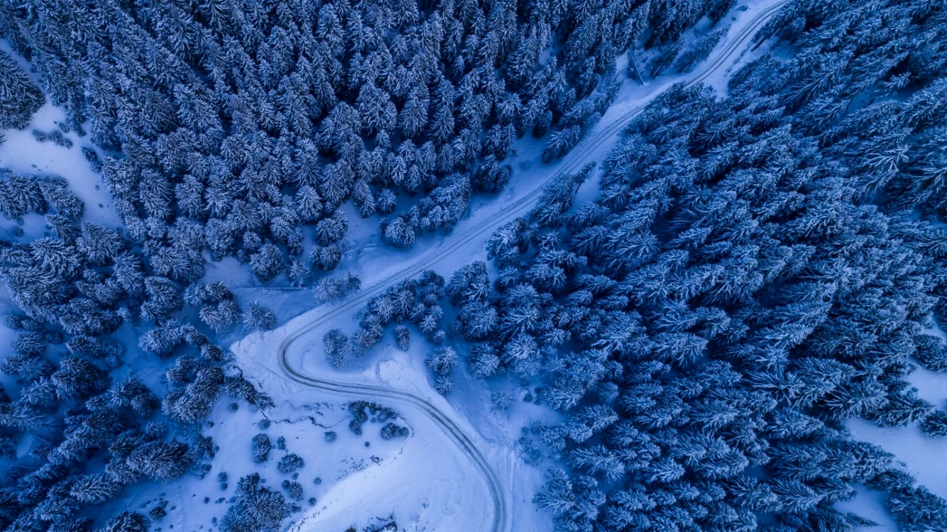 Peisaj de iarnă / FOTO Shutterstock