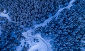 Peisaj de iarnă / FOTO Shutterstock