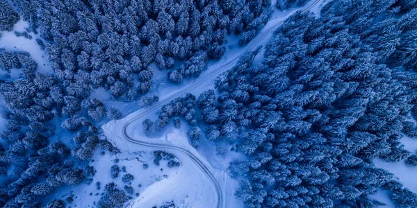 Peisaj de iarnă / FOTO Shutterstock