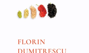 Singur printre textieri jpeg