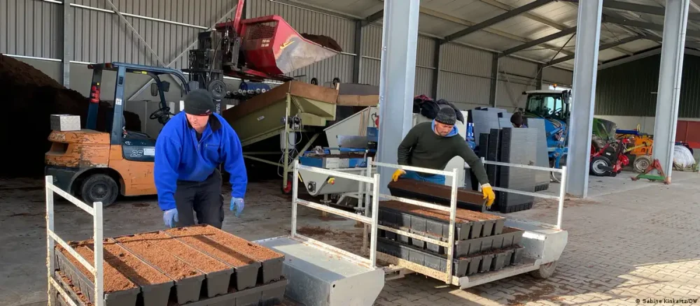 FAZ, despre zilierii români și moldoveni: speranţe efemere