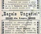 Din ziarele bănăţene înainte de 1900 FOTO Arhivele Naţionale Timiş