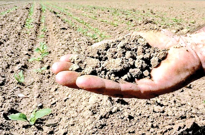 Pământul e uscat şi sfărâmicios