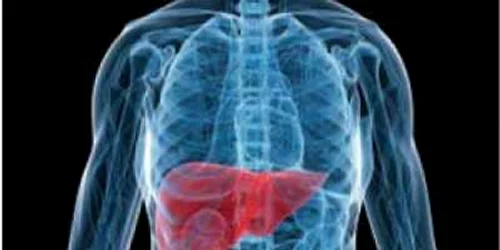 Urmarirea ecografica a persoanelor cu hepatite cronice