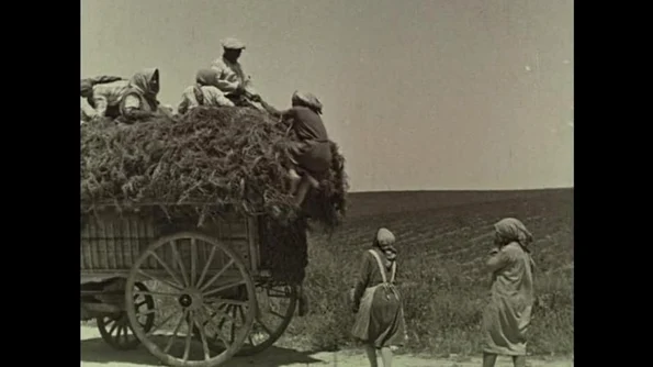 Miturile agriculturii contemporane LIPSA DE EFICENȚĂ jpeg