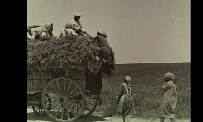 Miturile agriculturii contemporane LIPSA DE EFICENȚĂ jpeg