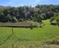 Satul Negoiu din Lunca Cernii de Jos, Hunedoara, Foto Daniel Guță, ADEVĂRUL (20) jpg