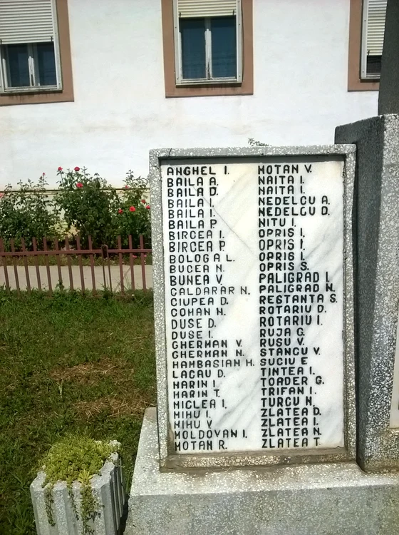 2017 08 11 13 02 17 OneShot jpg jpeg