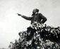 historia ro undefined jpeg