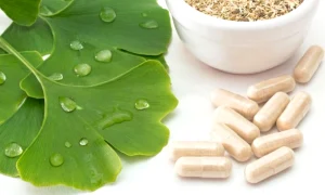 ginkgo biloba jpg