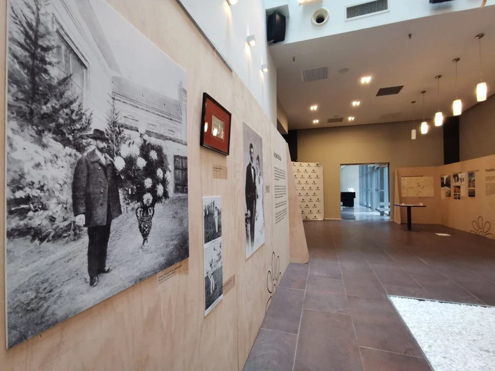 Cum arată în interior Casa Muhle din Timişoara
