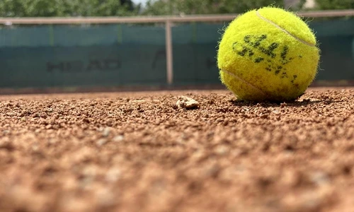 1 5 cele mai bune ponturi pariuri jpg jpeg