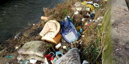 raul cerna hunedoara foto primaria hunedoara