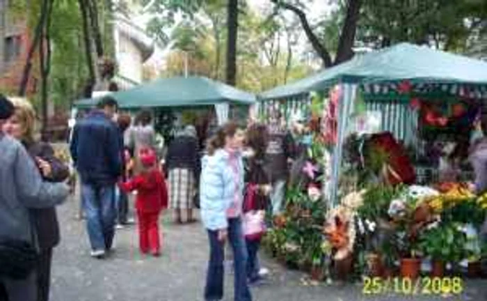 Brăila:Festivalul “Flori de Toamnă” în Grădina Mare