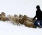 zăpadă germania reuters